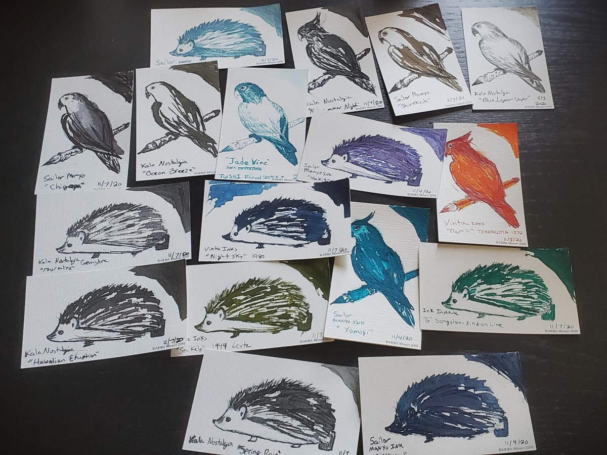 Swatch cards with sketches of parakeets and hedgehogs colored in with a variety of ink colors.