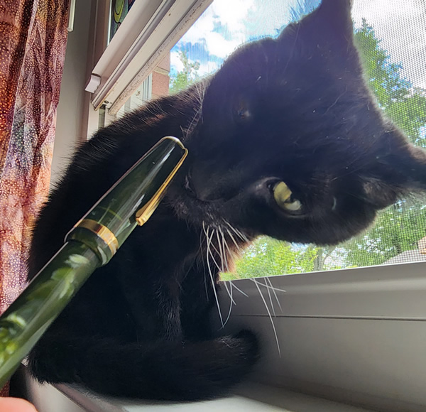 A small black cat sitting on a window sill, smelling the cap of a palm green Esterbrook Jr fountain pen.