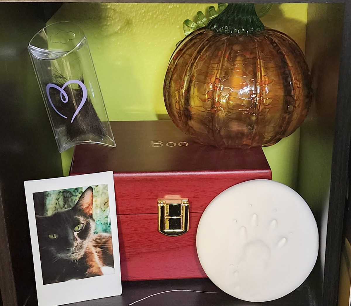 A small shelf with a collection of memorial items including a wooden box of ashes with the name Boo engraved on the top, a pretty orange glass pumpkin with a curly green stem, an imprint of a cat paw, a printed photo of a black cat, a shed white whisker, and a clipping of soft black fur in plastic container.