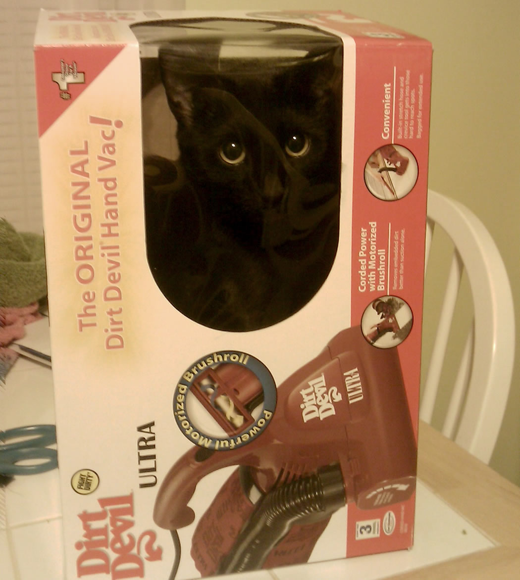 A black cat sitting inside a small cardboard box for a Dirt Devil handheld vacuum, looking out through the clear plastic window in the front of the box, on top of a kitchen table.