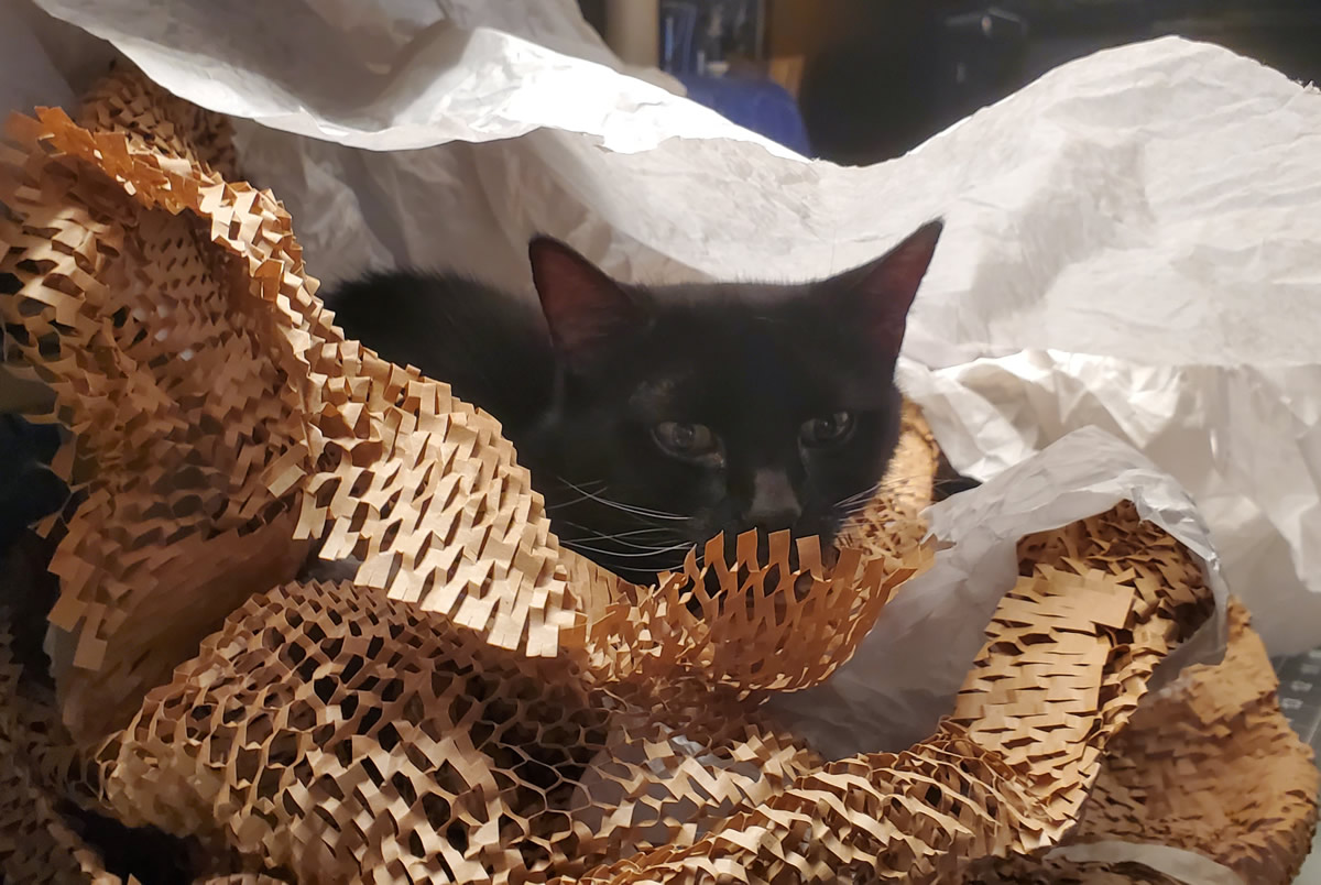 A black cat peeking out from the middle of a pile of brown and white packing paper.