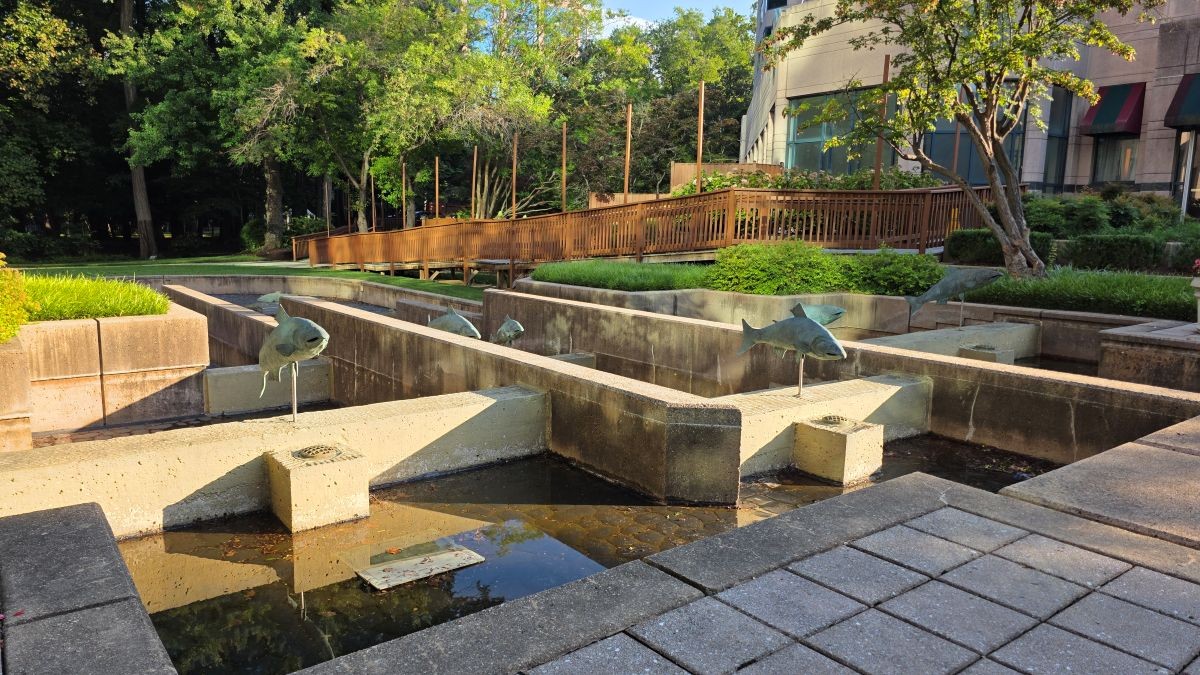 A wider shot of the jumping salmon sculptures in the outdoor patio area.