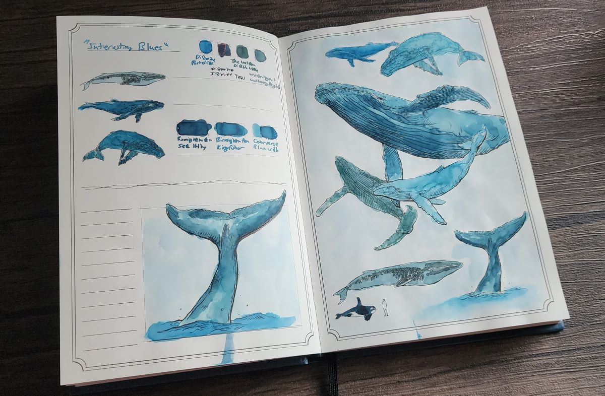 The Dominant Industry Ink Archiving Book opened to page spread of whale sketches painted in with 7 different shades of blue fountain pen ink.