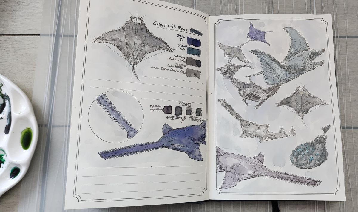 Hardcover book open to a painted page showing different species of rays painted in warm and cool shades of gray.