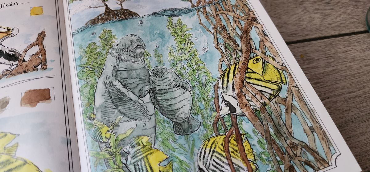 Closeup of drawing of manatee, fish, plants, roots, etc. underwater painted in soft natural colors including light blue, cool gray, green, yellow, and browns.