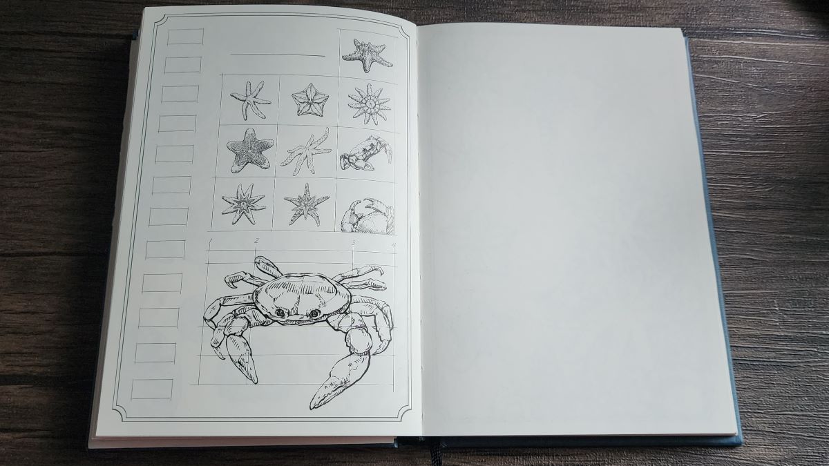 Hardcover book open to an unpainted page with drawings of several sea stars and crabs in separate boxes on the left page and a blank right page.