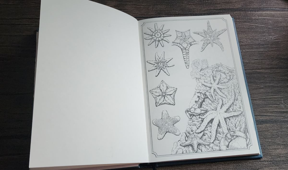 Hardcover book open to an unpainted page with larger isolated sea stars and a small scene with crabs and sea stars on coral on the right and a blank page on the left.