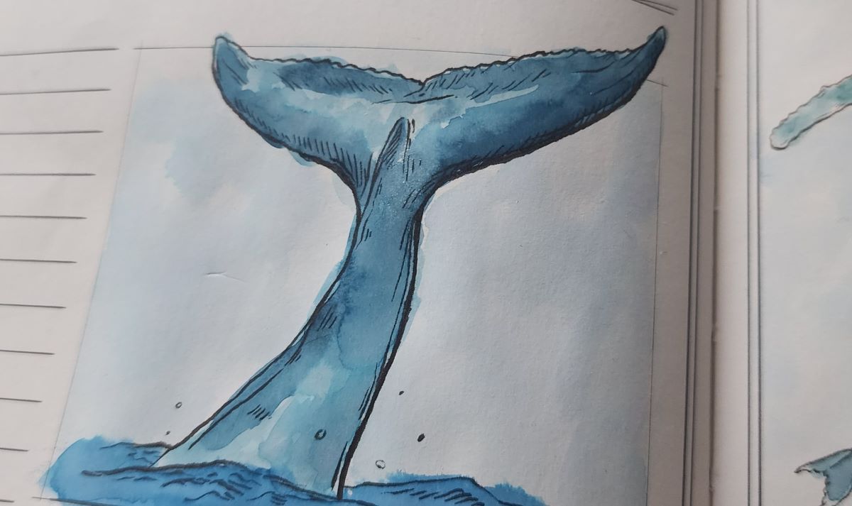 Close up of a large whale tail sticking up out of the water, painted in blue that is darker where there are more shading lines and lighter in areas without shading lines.