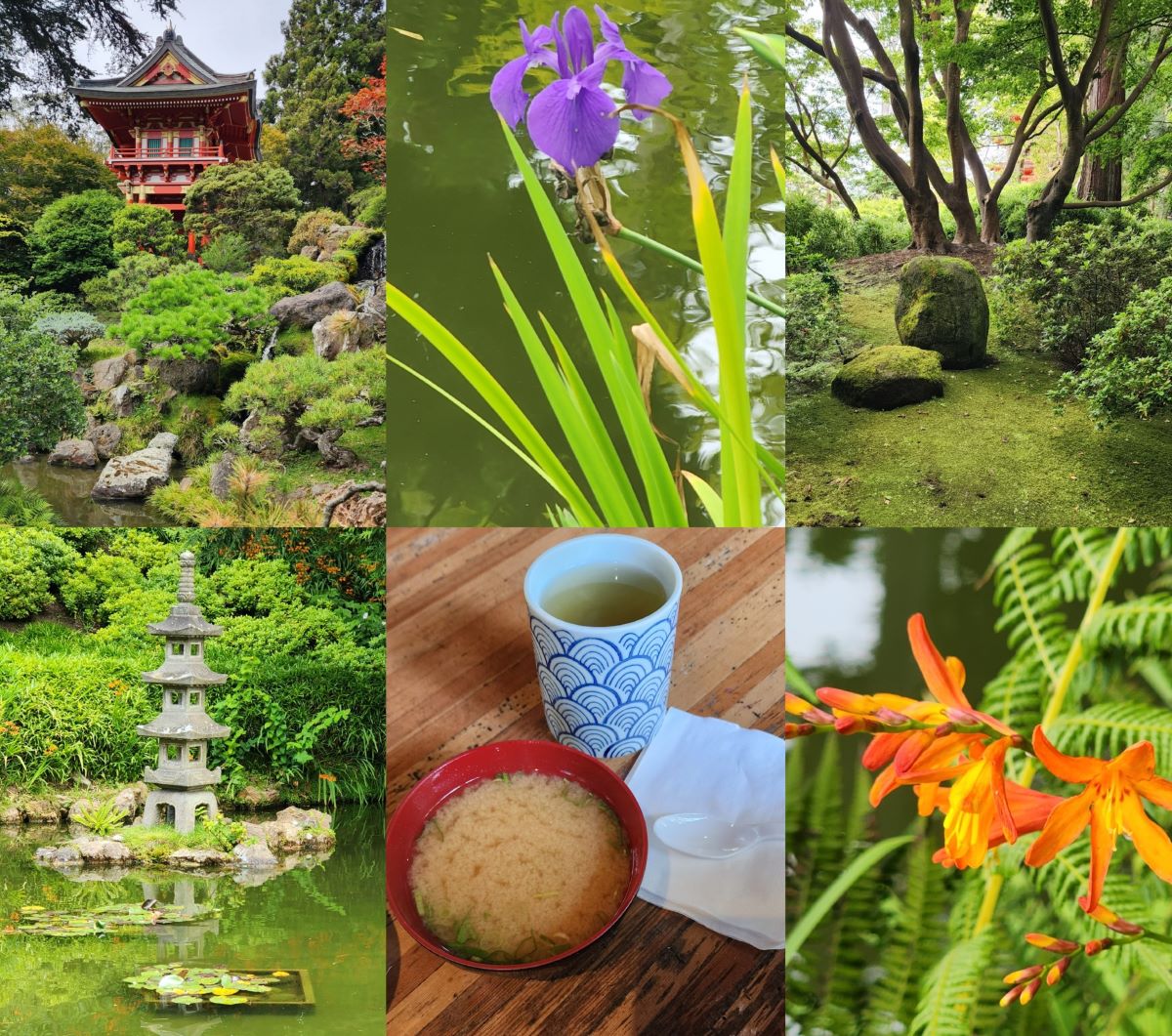 Collage of images from Japanese Tea Garden including a pagoda, mossy rocks, iris, orange flowers, tea and miso soup, and pond