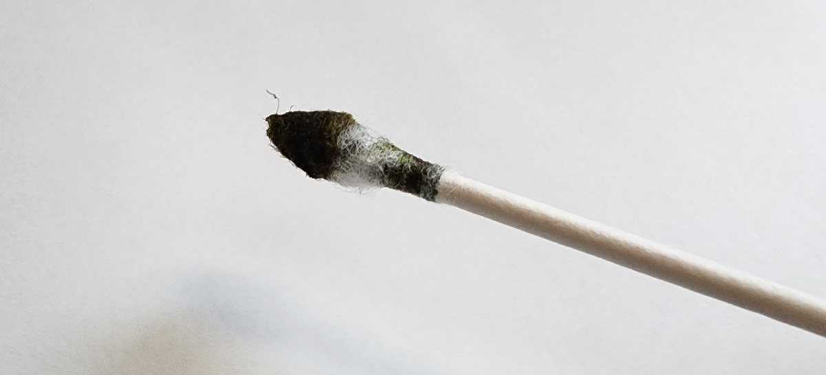 A white cotton swab with one end saturated in ink